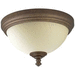 Progress PP2832102 Roasted Java Flush Mount Ceiling Light