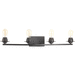 Progress PP300011143 Graphite 4 or more Bulb Bathroom Light