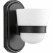 Progress PP300076031 Black 1 Bulb Wall Sconce