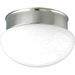 Progress PP341009 Brushed Nickel Flush Mount Ceiling Light