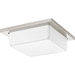 Progress PP34110930K9 Brushed Nickel Flush Mount Ceiling Light