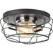 Progress PP350037143 Graphite Flush Mount Ceiling Light