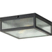 Progress PP350152031 Matte Black Flush Mount Ceiling Light