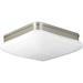 Progress PP351109 Brushed Nickel Flush Mount Ceiling Light