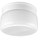 Progress PP351830 White Flush Mount Ceiling Light