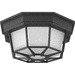 Progress PP36653130K9 Black Outdoor Ceiling Mounted Light