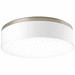 Progress PP367509WB Brushed Nickel Flush Mount Ceiling Light