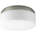 Progress PP391009WB Brushed Nickel Flush Mount Ceiling Light