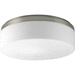 Progress PP391109 Brushed Nickel Flush Mount Ceiling Light