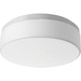 Progress PP39113030K9 White Flush Mount Ceiling Light