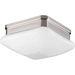 Progress PP399109 Brushed Nickel Flush Mount Ceiling Light