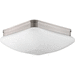 Progress PP399209 Brushed Nickel Flush Mount Ceiling Light
