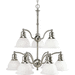 Progress PP428309 Brushed Nickel Mid Sized Chandelier