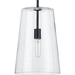 Progress PP500242031 Matte Black Entrance / Foyer Pendant