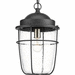 Progress PP550025031 Black Outdoor Hanging Lantern