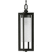 Progress PP550044108 Oil Rubbed Bronze Outdoor Hanging Lantern