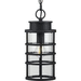 Progress PP550061031 Black Outdoor Hanging Lantern