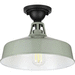 Progress PP550070079 Pistachio Outdoor Ceiling Mounted Light