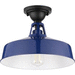 Progress PP550070091 Navy Outdoor Ceiling Mounted Light