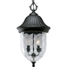 Progress PP552931 Textured Black Outdoor Hanging Lantern