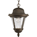 Progress PP553020 Antique Bronze Outdoor Hanging Lantern