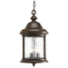 Progress PP555020 Antique Bronze Outdoor Hanging Lantern