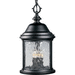 Progress PP555031 Textured Black Outdoor Hanging Lantern