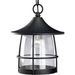 Progress PP556371 Gilded Iron Outdoor Hanging Lantern