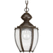 Progress PP556520 Antique Bronze Outdoor Hanging Lantern