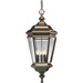 Progress PP5574108 Oil Rubbed Bronze Outdoor Hanging Lantern