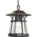 Progress PP557984 Espresso Outdoor Hanging Lantern