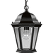 Progress PP558231 Textured Black Outdoor Hanging Lantern