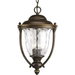 Progress PP5584108 Oil Rubbed Bronze Outdoor Hanging Lantern