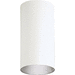 Progress PP574130 White Outdoor Ceiling Mounted Light