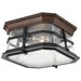 Progress PP601784 Espresso Outdoor Ceiling Mounted Light