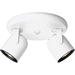 Progress PP614830WB White Flush Mount Ceiling Light