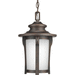 Progress PP650397 Autumn Haze Outdoor Hanging Lantern