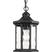 Progress PP652931 Black Outdoor Hanging Lantern