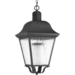 Progress PP653831 Black Outdoor Hanging Lantern