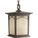 Progress PP655220 Antique Bronze Outdoor Hanging Lantern