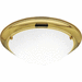 Progress PP732510EBWB Polished Brass Flush Mount Ceiling Light