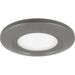 Progress PP81088230K Metallic Gray Flush Mount Ceiling Light