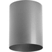 Progress PP57748230K Metallic Gray Outdoor Ceiling Mounted Light