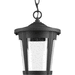 Progress PP65303130K9 Black Outdoor Hanging Lantern