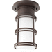 Progress PP65362030K9 Antique Bronze Outdoor Hanging Lantern
