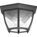 Progress PP550036031 Black Outdoor Ceiling Mounted Light