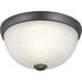 Progress PP350043143 Graphite Flush Mount Ceiling Light