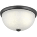 Progress PP350044143 Graphite Flush Mount Ceiling Light