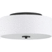 Progress PP350130143 Graphite Flush Mount Ceiling Light