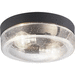 Progress PP550042031 Black Outdoor Ceiling Mounted Light